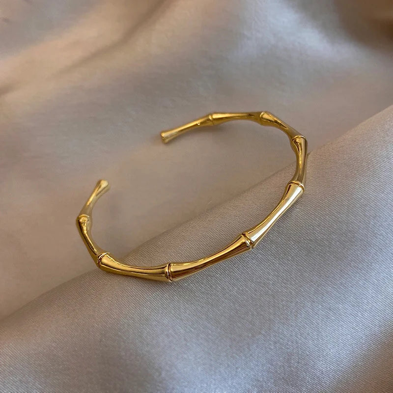 Sleek Titanium Steel Bangle Bracelet for Women